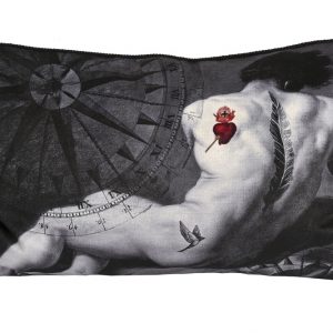 Rectangular Velvet Cushion Cover .. Male Feather